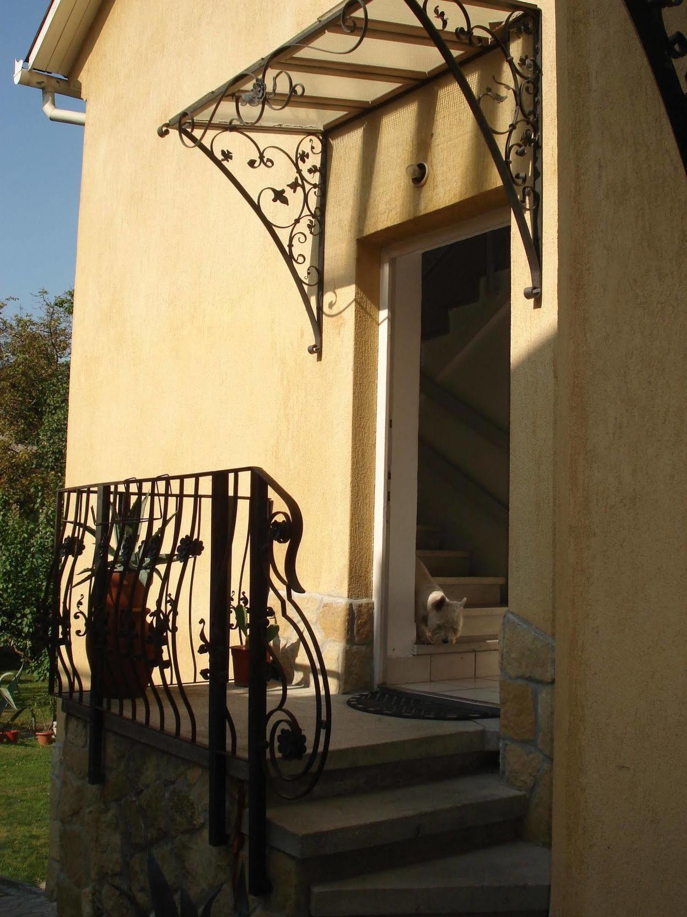 غيور Buda Panzio المظهر الخارجي الصورة